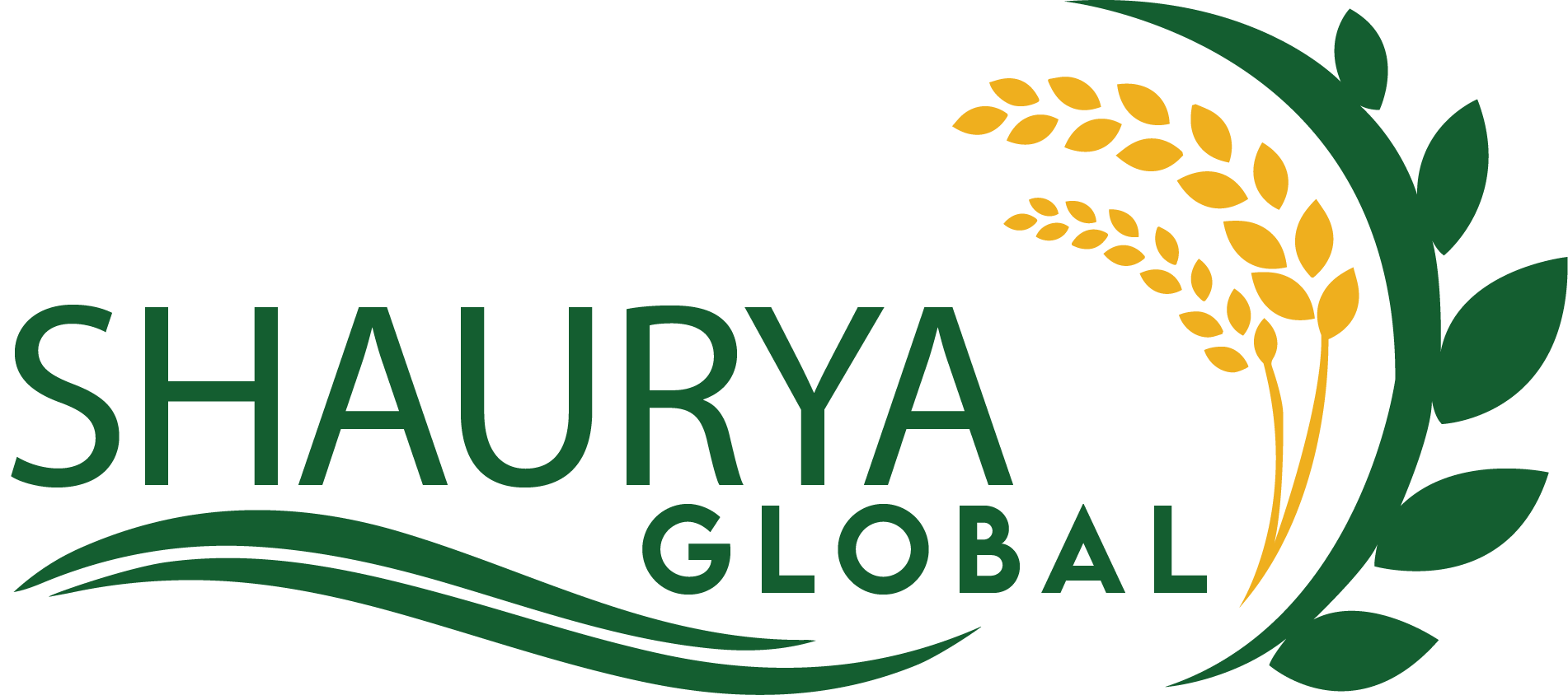 Shaurya Global